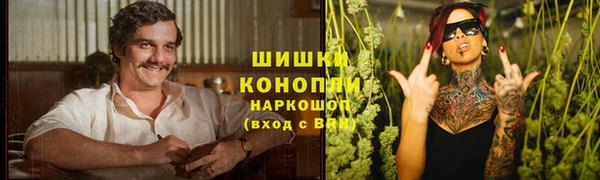 шишки Горнозаводск