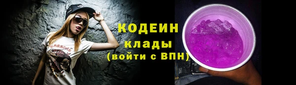 мдпв Вяземский