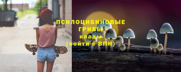 прущая мука Горняк