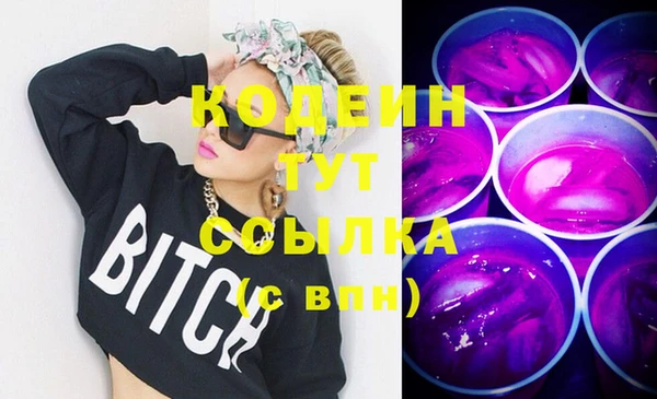 шишки Горнозаводск