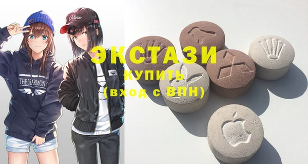 мдпв Вяземский