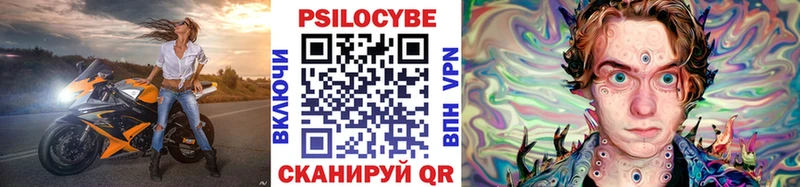 Галлюциногенные грибы Psilocybe  где продают наркотики  Гаврилов Посад 